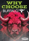 Why Choose Buffalo